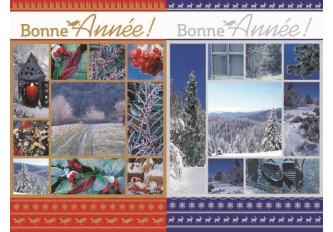 Carnet Bonne Année PAYSAGE