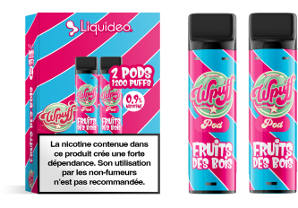 POD FRUITS DES BOIS 9mg